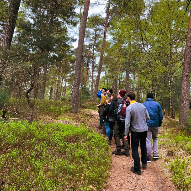 EP Gruppe im Wald